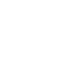 20250717_aun11